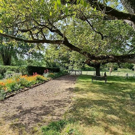 Les Noyers Monestois Entre Cher Et Canal De Berry Mennetou-sur-Cher Exteriör bild