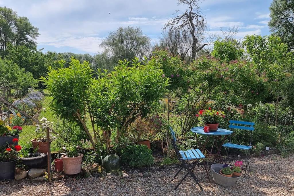 Les Noyers Monestois Entre Cher Et Canal De Berry Mennetou-sur-Cher Exteriör bild